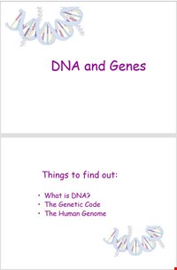 پاورپوینت انگلیسی  DNA and GENES